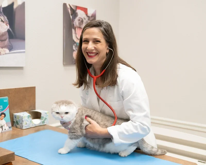 Dr. Kerrie Lewis examining a small dog alongside a veterinary technician